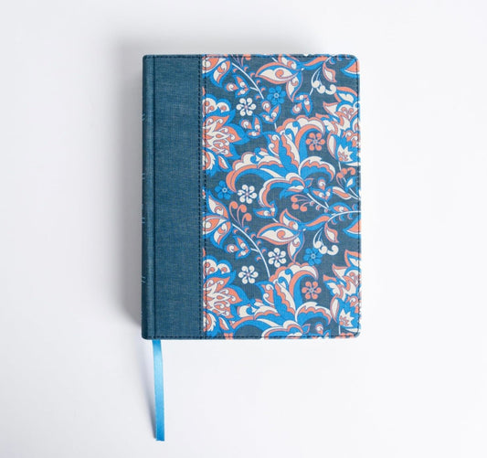 Biblia Reina Valera 1960 de Apuntes, Edición ilustrada. Tela en rosado y azul | RVR 1960 Illustrator’s NoteTaking Bible,Cloth over Board, Blue and Pink (Spanish Edition)